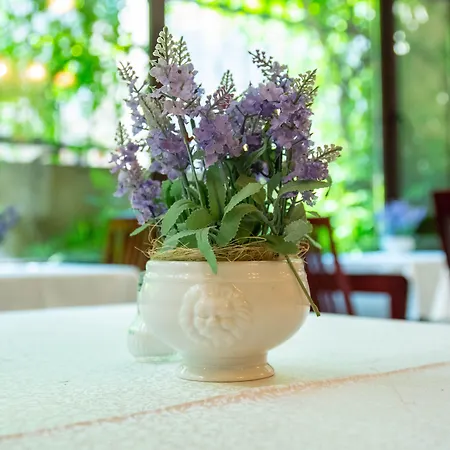 Hotel Cantemir